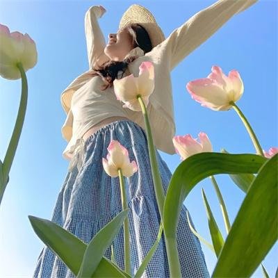 夏日国度